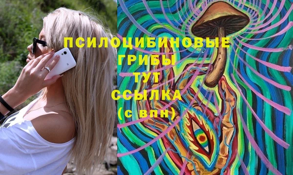 а пвп мука Армянск