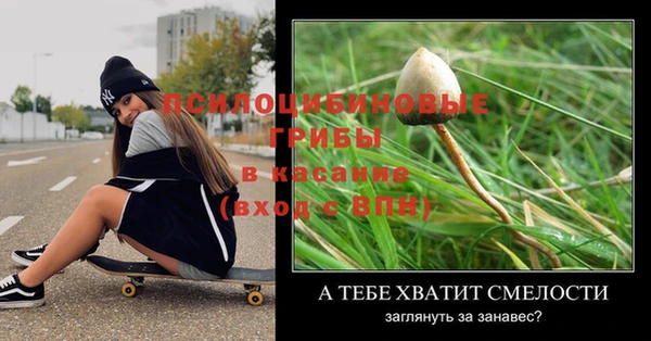 бошки Арсеньев